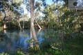 Property photo of 196 Forestry Road Bluewater QLD 4818