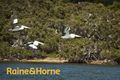 Property photo of 22 Hale Avenue Molloy Island WA 6290