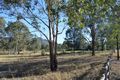 Property photo of 13 Blue Cliff Road Pokolbin NSW 2320