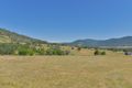 Property photo of 100 Wyndham Close Daruka NSW 2340