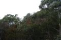 Property photo of 1 Brushwood Place Hornsby NSW 2077