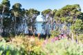 Property photo of 2/484 Binalong Bay Road St Helens TAS 7216
