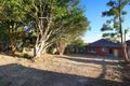 Property photo of 21 Terrace Road Killara NSW 2071
