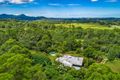 Property photo of 36 Alidenes Road Wilsons Creek NSW 2482