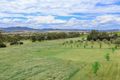 Property photo of 458B Elderslie Road Branxton NSW 2335