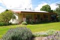 Property photo of 4 Maule Street Wingen NSW 2337