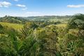 Property photo of 371 Tyagarah Road Myocum NSW 2481