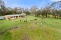 Property photo of 36 McMahon Road Worrolong SA 5291