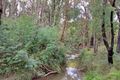 Property photo of 604 Chum Creek Road Chum Creek VIC 3777