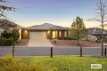 Property photo of 28 Grieve Way Wodonga VIC 3690
