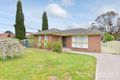 Property photo of 11 Delmont Court Cranbourne VIC 3977
