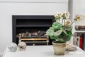 Property photo of 11 Lakefront Circle The Vines WA 6069