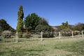 Property photo of 113 Madeira Road Mudgee NSW 2850
