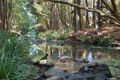 Property photo of 20 Astron Road Zara NSW 2484