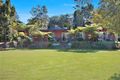 Property photo of 20 Astron Road Zara NSW 2484