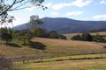 Property photo of 176 Pericoe Road Towamba NSW 2550