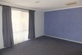 Property photo of 6 Brauman Street Shepparton VIC 3630