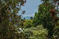 Property photo of 4 Watson Street Bellingen NSW 2454