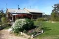 Property photo of 205 Upper Scamander Road Scamander TAS 7215