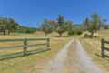 Property photo of 100 Wyndham Close Daruka NSW 2340