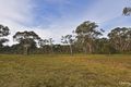 Property photo of 9 Callistemon Avenue Hill Top NSW 2575