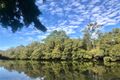 Property photo of 37 Kentia Court Elanora QLD 4221