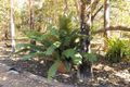 Property photo of 50 Bastin Road Howard Springs NT 0835