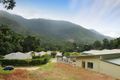 Property photo of 39 Lum Jim Street Redlynch QLD 4870