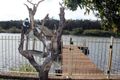 Property photo of 9 Palmway Crescent Tuncurry NSW 2428