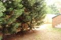 Property photo of 143 North Rocks Road North Rocks NSW 2151