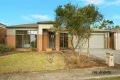 Property photo of 19 Paringa Pass Wyndham Vale VIC 3024