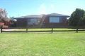 Property photo of 20 Pritchard Avenue Hammondville NSW 2170