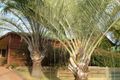 Property photo of 34 Tibrogargan Drive Narangba QLD 4504