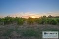 Property photo of 8 Giles Road Willunga SA 5172