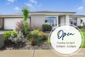 Property photo of 6 Franklin Avenue Warragul VIC 3820