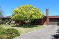 Property photo of 92 Harris Road Elliminyt VIC 3250