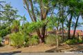Property photo of 1 Paroa Avenue Lemon Tree Passage NSW 2319