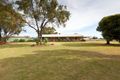 Property photo of 3558 Benetook Avenue Irymple VIC 3498
