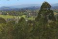 Property photo of 90 Misty Rise Road Image Flat QLD 4560