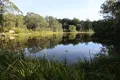 Property photo of 37 Platypus Drive Uralba NSW 2477