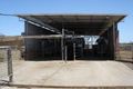 Property photo of 127 Winter Road Girgarre VIC 3624