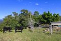 Property photo of 225 South Boambee Road Boambee NSW 2450