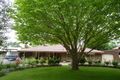 Property photo of 11 Bernhardt Crescent Hahndorf SA 5245