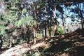 Property photo of 37 Kinabalu Drive Tamborine Mountain QLD 4272