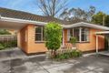 Property photo of 4/35 Weir Street Balwyn VIC 3103