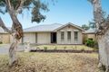 Property photo of 9 Seagull Street Aldinga Beach SA 5173
