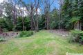 Property photo of 27 Bundaleer Road Wesburn VIC 3799