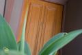 Property photo of 2/24 Cook Street Crawley WA 6009
