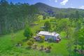 Property photo of 14 Misty Vale Way Hollisdale NSW 2446