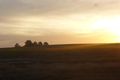 Property photo of 340 View Range Road Kendenup WA 6323